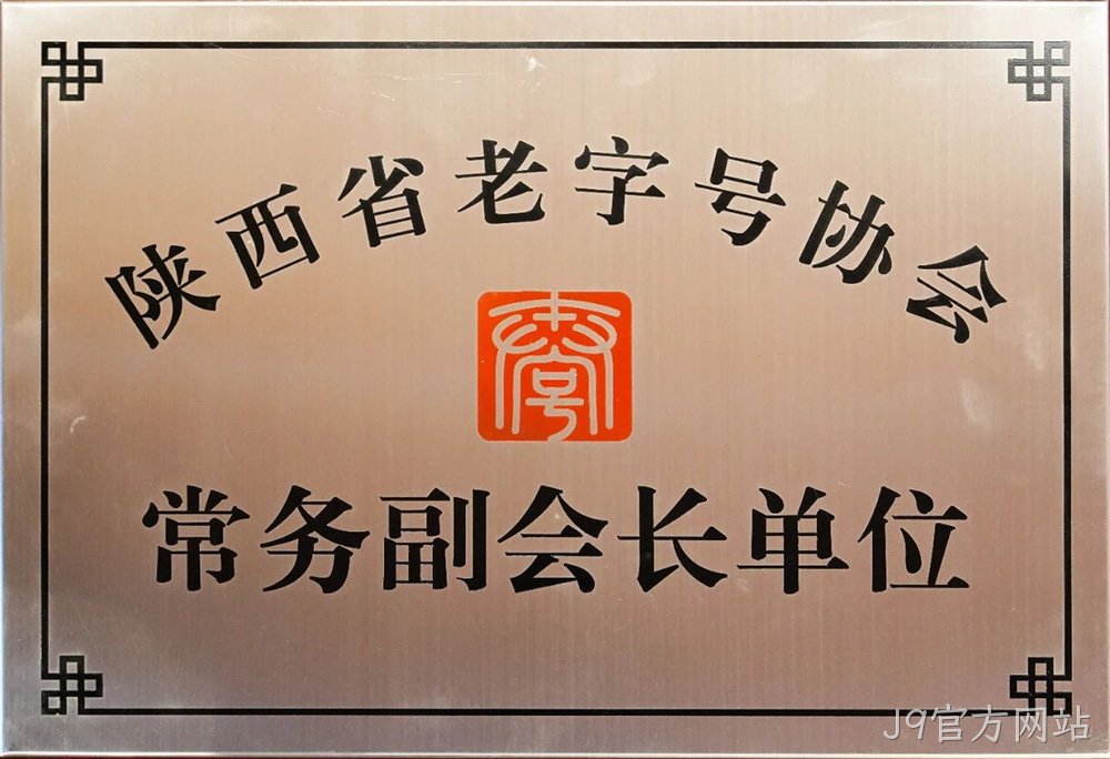 图片16