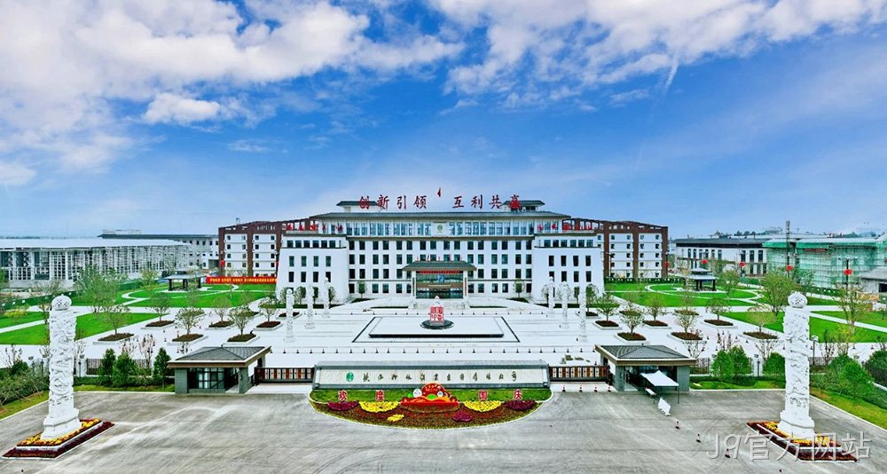 图片4